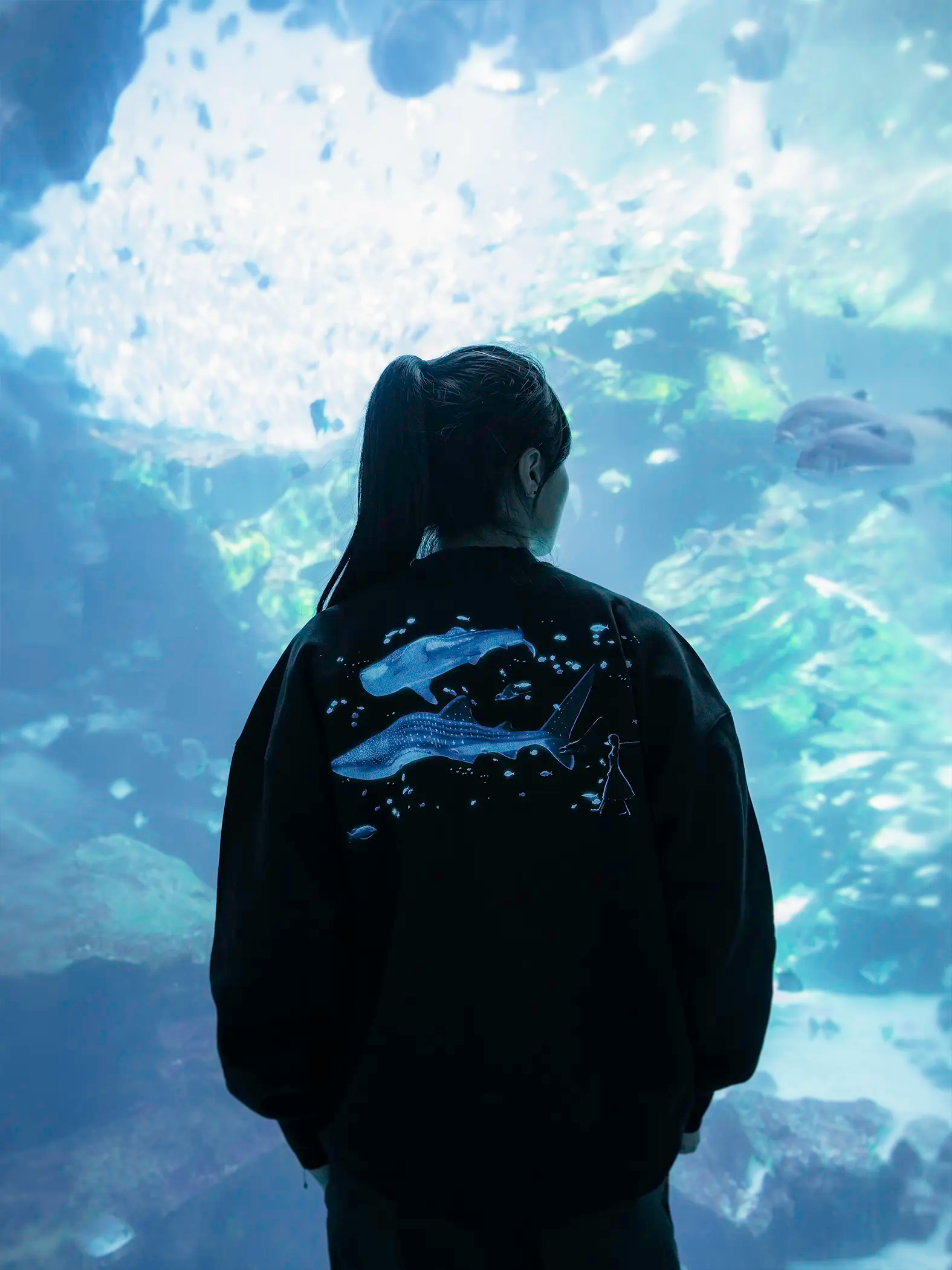 Aquarium Box Crewneck - Black