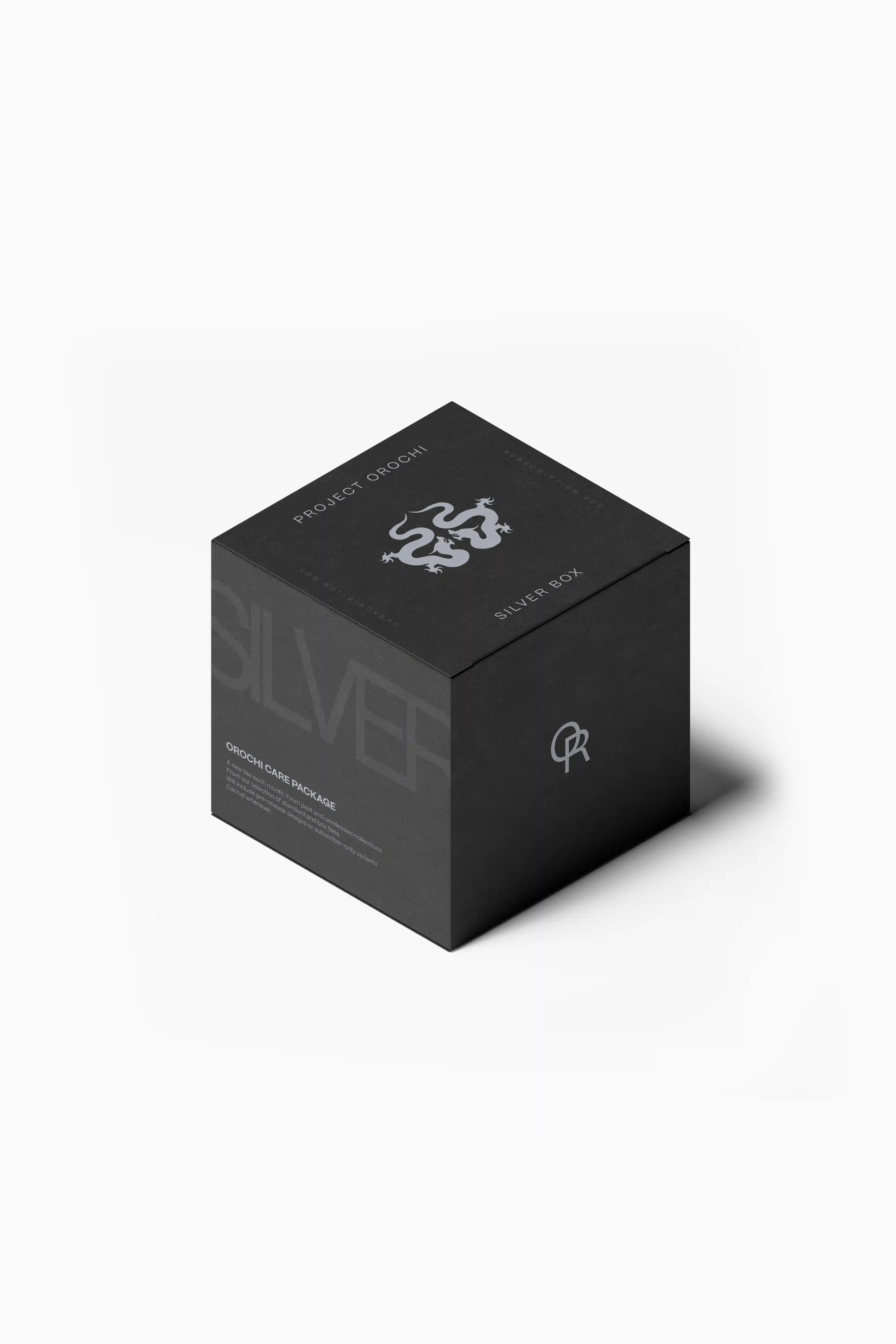 Care Package - Silver