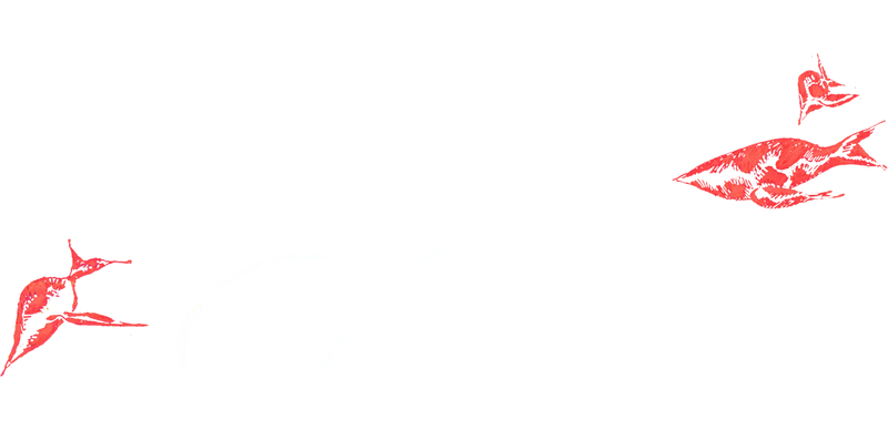 Spring Champloo
