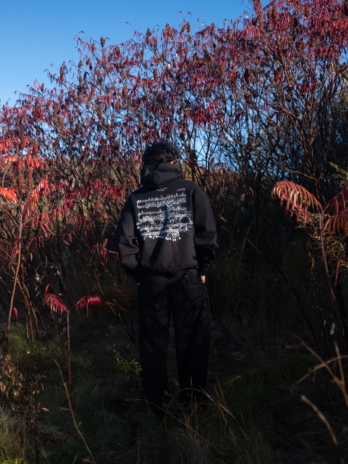 Plin Plon Hoodie - Black