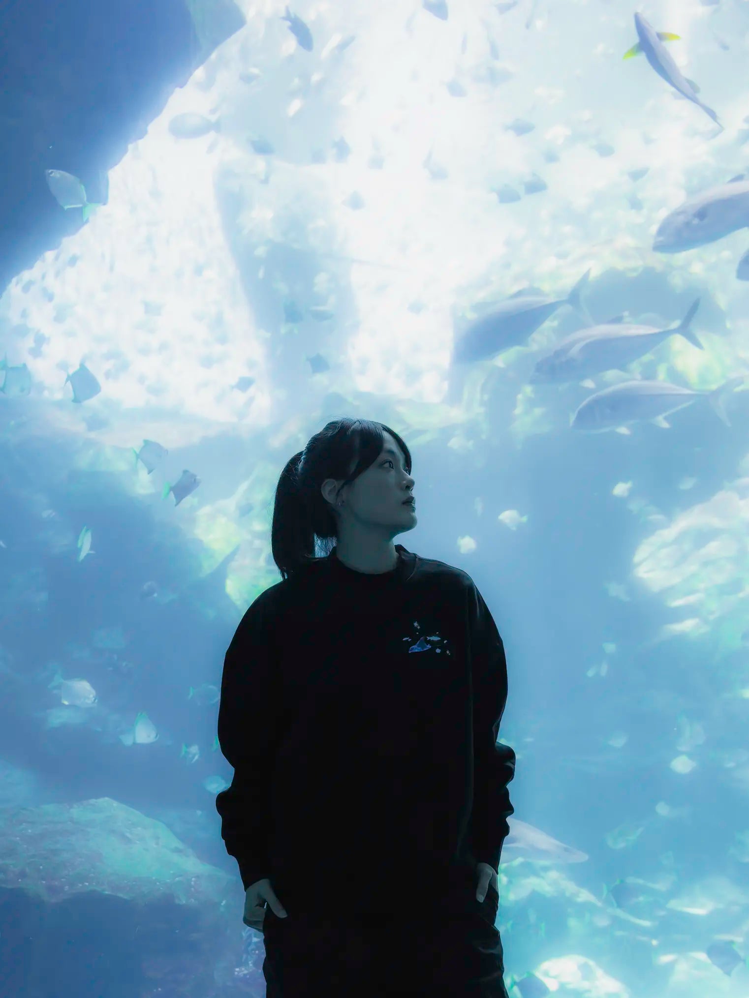Aquarium Box Crewneck - Black