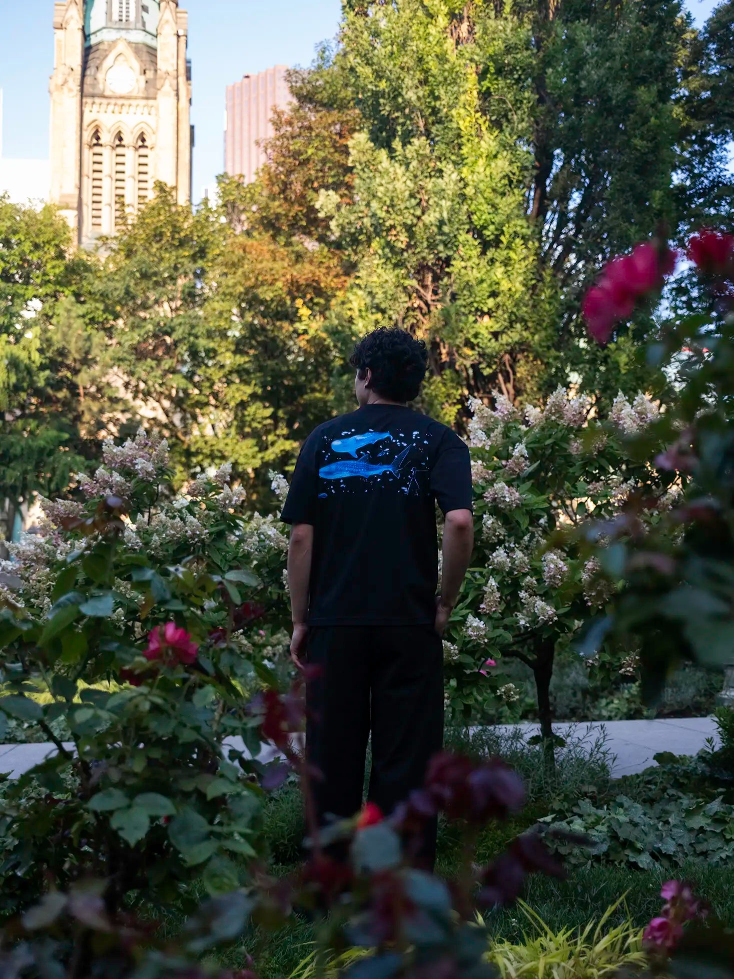 Aquarium Tee - Black